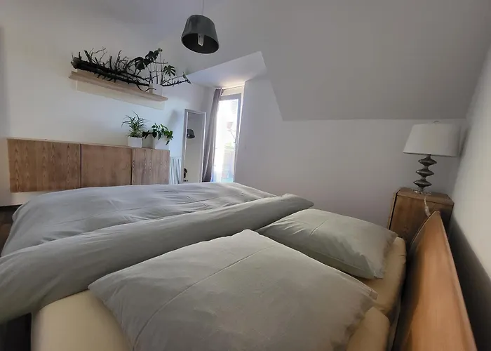 Airport Viena Lejlighed